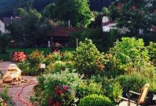 Gasthof zum Sterb美食图片