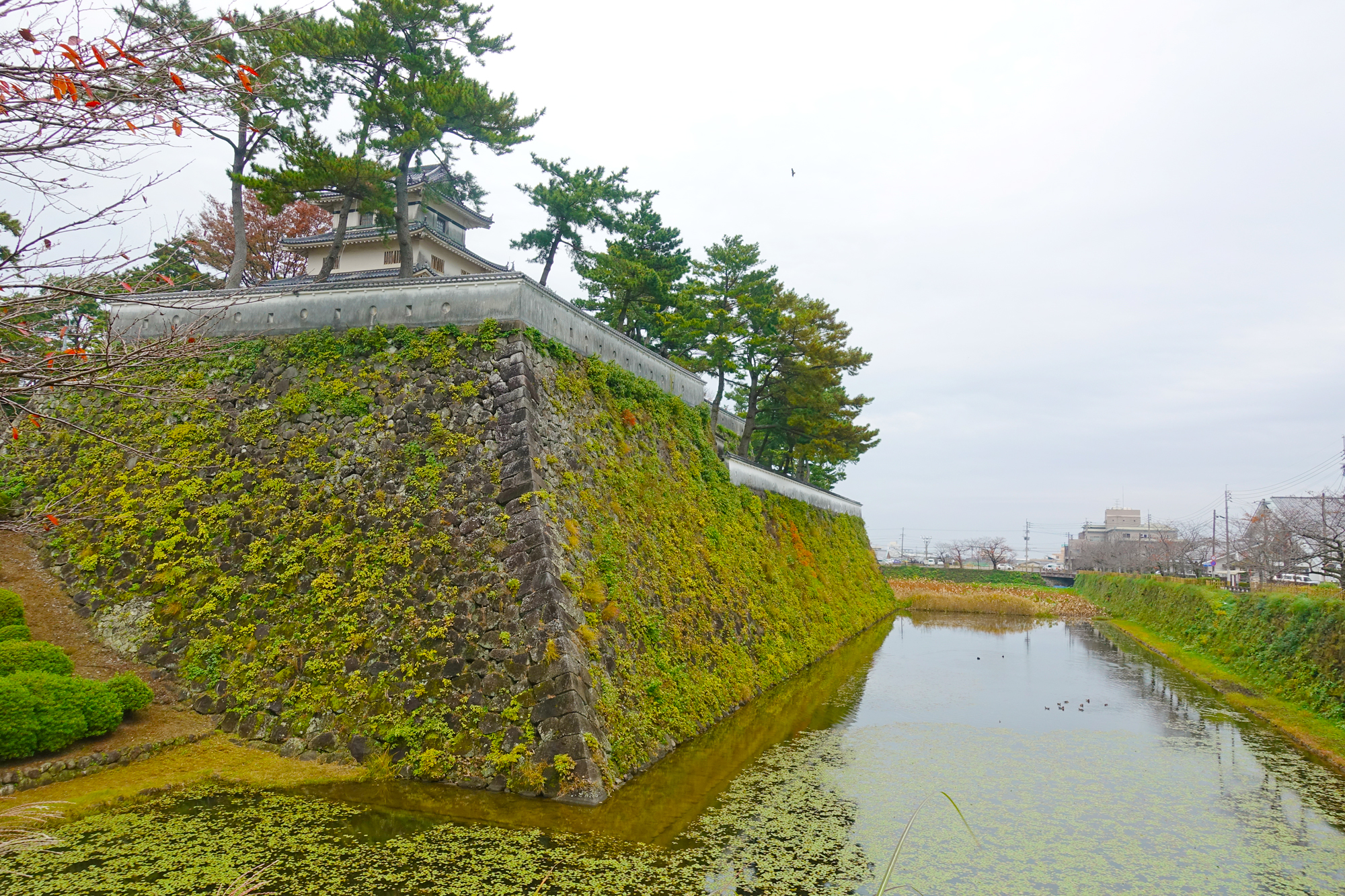 岛原城 一揽岛原城风光  岛原城就在姬松屋对面，在明海边，是一座日式城堡，高而坚固的石桓。水堀围绕着