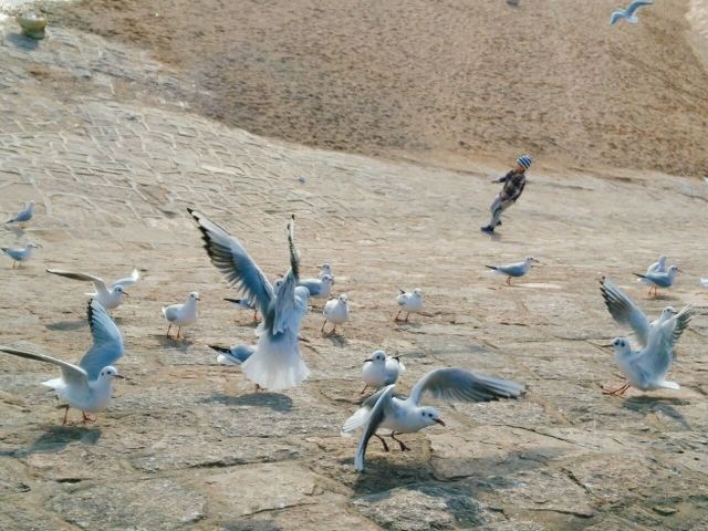 잔교(잔차오)