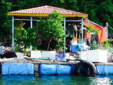 Bai Tu Long Bay-下龙市