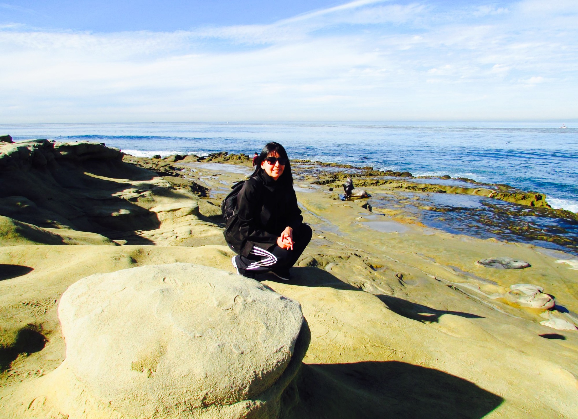 Shell Beach La Jolla Tide Chart