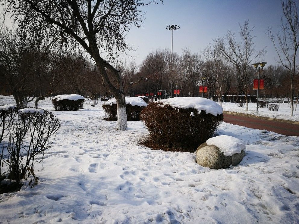 春节里的世纪公园