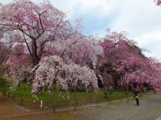 神代植物公园-调布市-是条胳膊