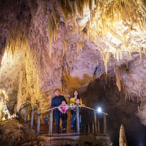 Waitomo Caves