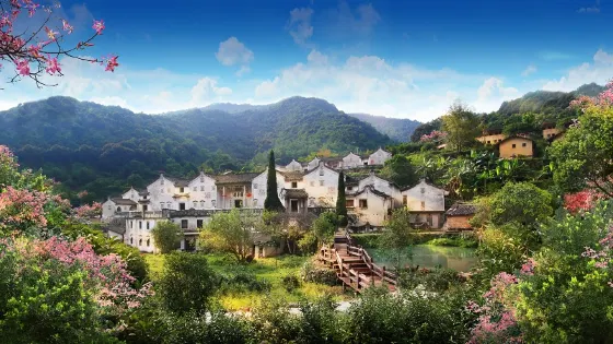 雁南飛茶田景區-橋溪古韻