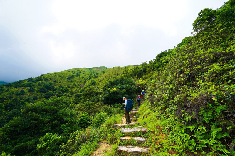香港徒步行，凤凰径、港岛径