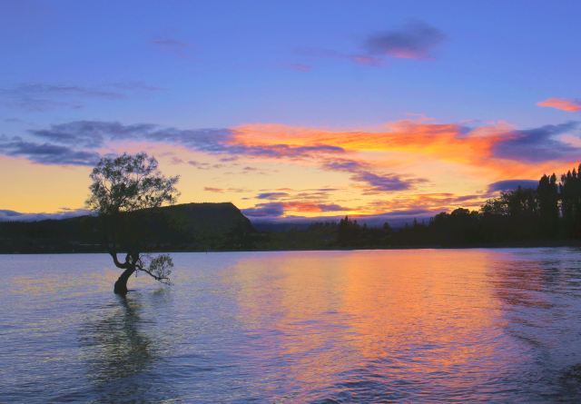 Lake Wanaka