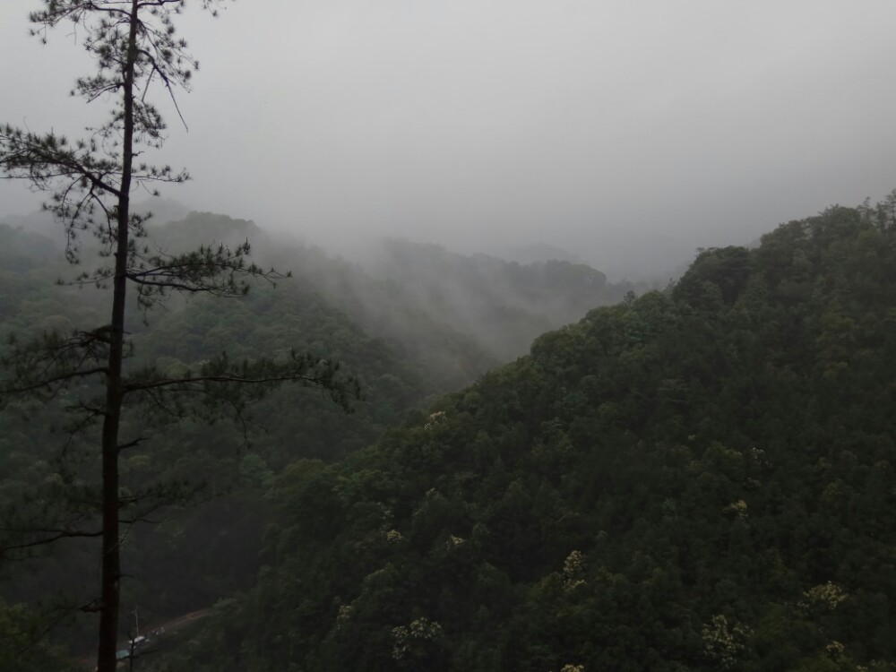 湖南省郴州九龙江国家森林景区 广东过去在高速公路恩村出，下了高速公路，到景区半个多小时的路程。当地人