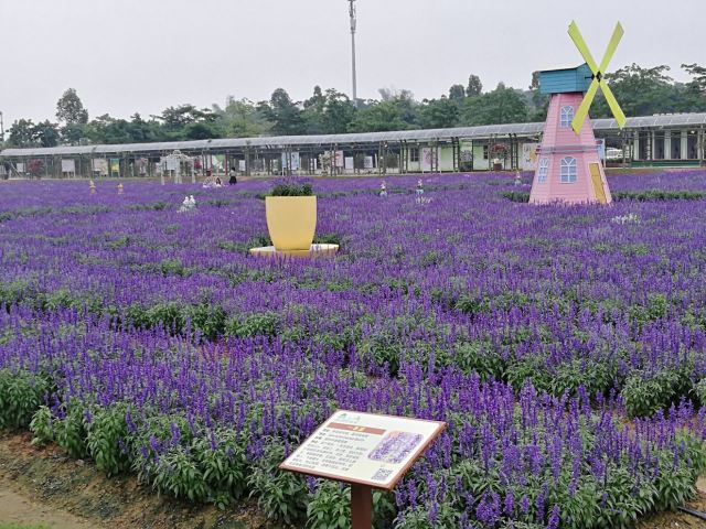 Midea Egret Lake Alice Garden