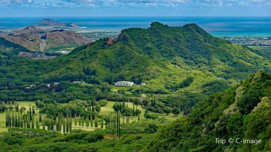 Nuuanu Valley Rain Forest