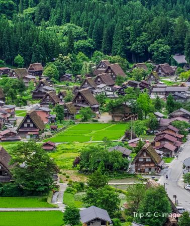 7D6N • Tokyo, Mt. Fuji, Nagoya, Takayama, Shirakawa-go, Kanazawa, Tokyo