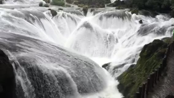 银链坠瀑