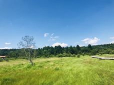 七星湖湿地公园-围场-YoYo_8U7C5O1X