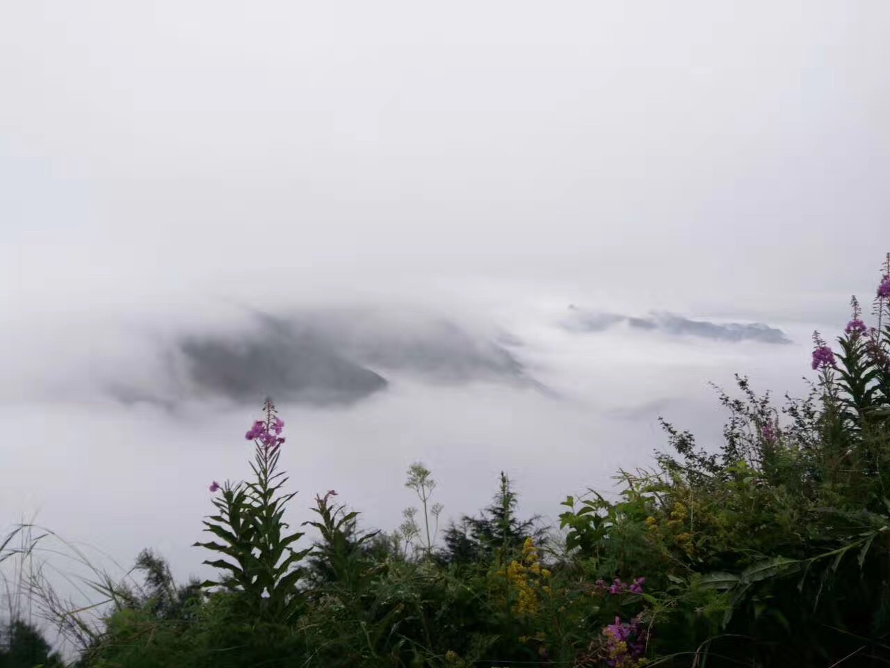 美丽的雾灵山