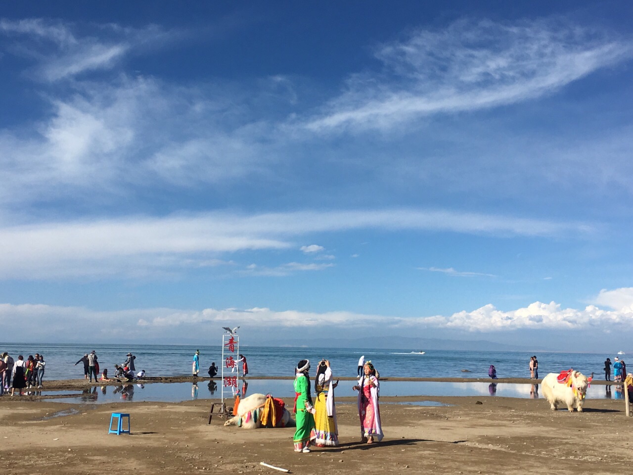 青海湖游览一2018.8.23