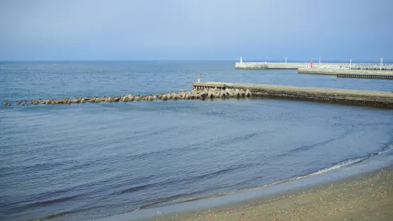 鵠沼海濱公園