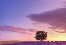 法国阿尔卑斯山南部旅游图片-普罗旺斯夏季薰衣草2日游