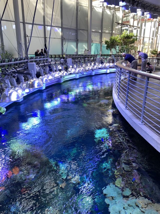 California Academy of Sciences