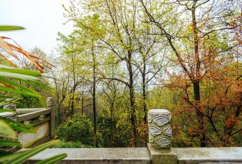 湖南博物院+橘子洲+岳麓山一日游【韵味长沙-美食打卡-散拼团【安排百年老店-坡子街[火宫殿总店]，品尝湖湘特色小吃，饕餮美食让您流连忘返】