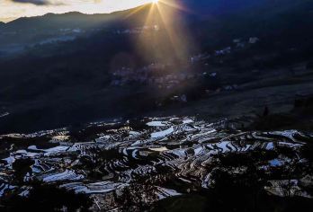 中国云南元阳哈尼梯田一日游【蒙自出发（不含门票、用餐）】【[品质出行]因地域问题服务的司机都是中文语言，有手机翻译软件交流，会为您提供优质服务】
