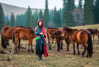 伊犁+那拉提旅游风景区一日游【6人小团 品质纯玩，市区接送】【品质纯玩，伊宁市火车站接送】