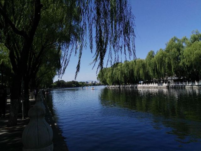 北京什刹海风景区游玩攻略简介,北京什刹海风景区门票/地址/图片/开放时间/照片/门票价格【携程攻略】