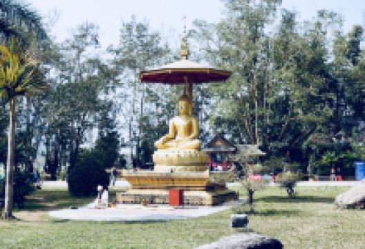 勐景来景点图片