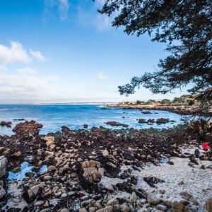 Monterey
