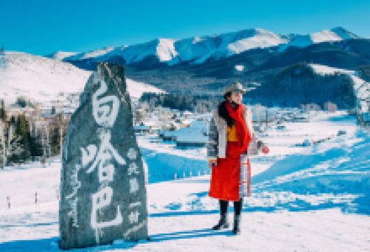 白哈巴景区景点图片