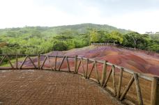 七色土-毛里求斯-C-IMAGE