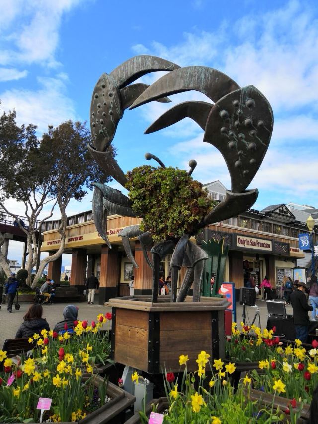Fisherman's Wharf