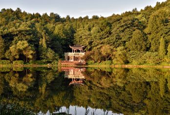 长沙+湖南博物院+岳麓山+爱晚亭+橘子洲+五一广场一日游【[体验满分]100%纯切身体验！0景中店，0特产店，0购物店。】