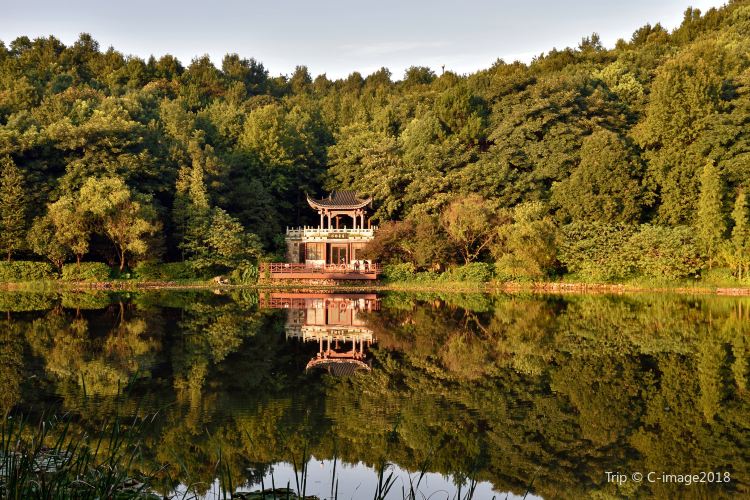 Yuelu Mountain
