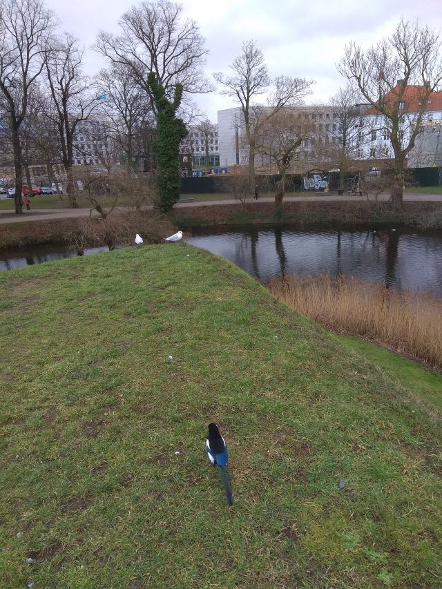 Kastellet