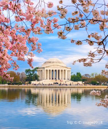 2D1N • Washington D.C.