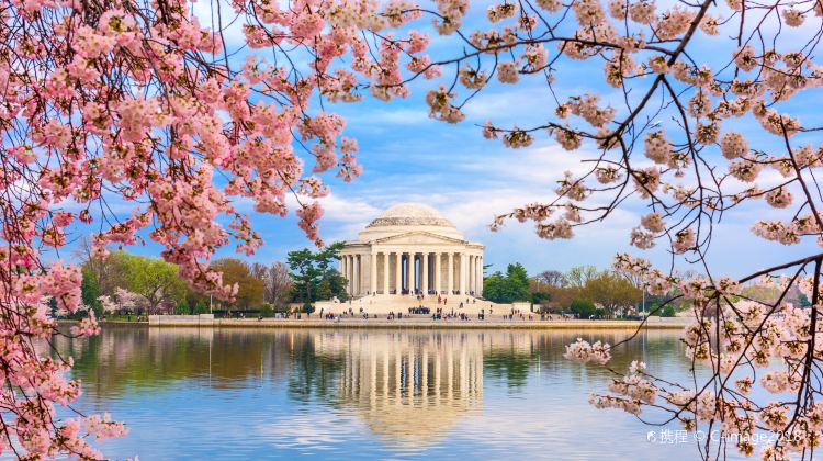 2-Day Washington D.C. Cherry Blossom Tour from NY·Thomas Jefferson Memorial, Washington D.C. Temple and Old Town Alexandria