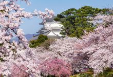 小田原城景点图片