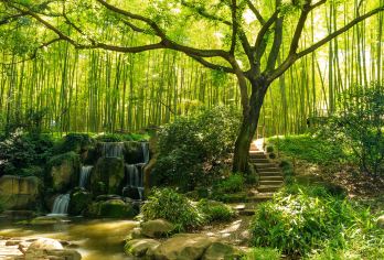 【虎丘山风景名胜区2小时深度】大咖老师精讲小包团  含耳麦 【虎丘 | 到苏州不游虎丘乃憾事也】