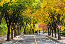 龟尾市旅游图片-大邱文艺小资一日游