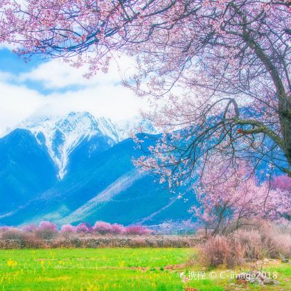 西藏林芝+巴松措+雅鲁藏布大峡谷+南迦巴瓦峰3日2晚跟团游