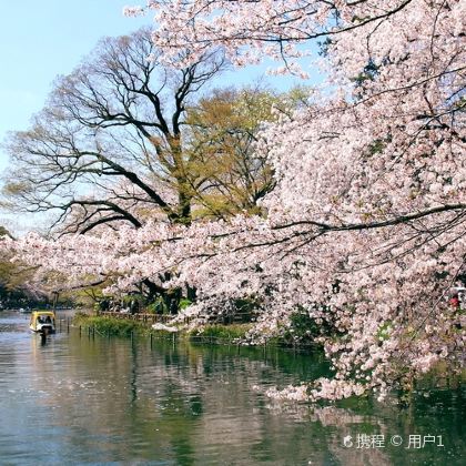 日本8日7晚私家团