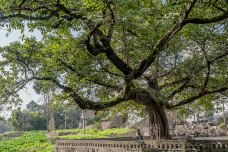 郪江古镇-三台-H澍先生