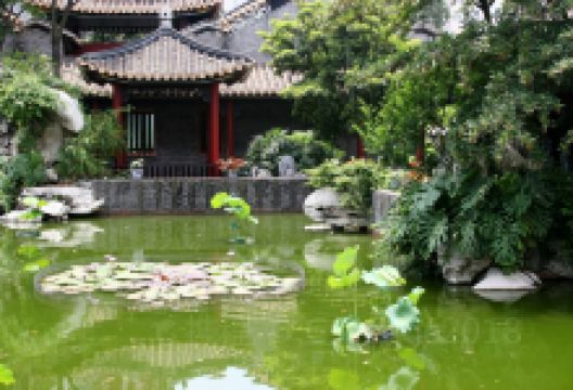 赤坭镇旅游图片-岭南水乡，古风摄影佛山游