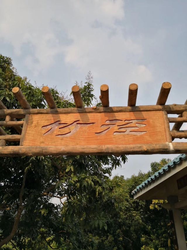 大屏嶂森林公园旅行图片 5