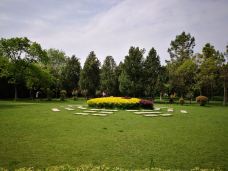 卧龙岗-南阳-YoYo_8M6E0H3X