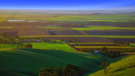 Barossa
