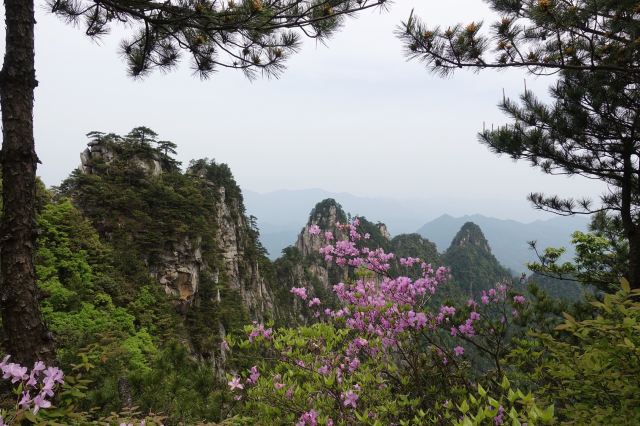 大明山景區