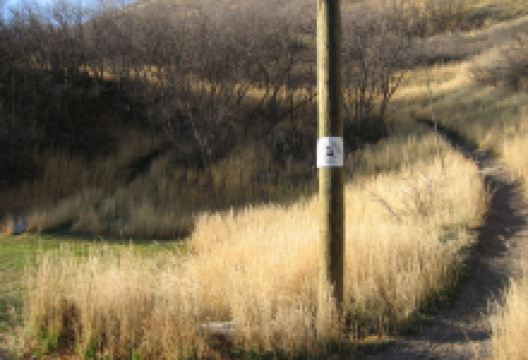 Western Trail Rides景点图片