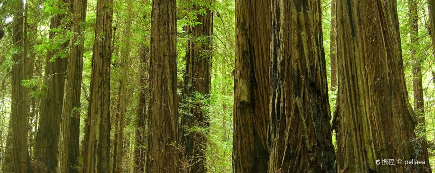 2019布拉格堡旅游攻略,9月布拉格堡(Fort Brag