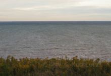 North Point Nature Preserve景点图片